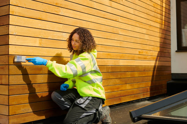 Best Steel Siding Installation  in Riceville, TN