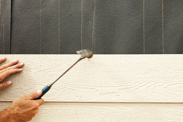 Best Vinyl Siding Installation  in Riceville, TN